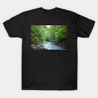 River and trees T-Shirt